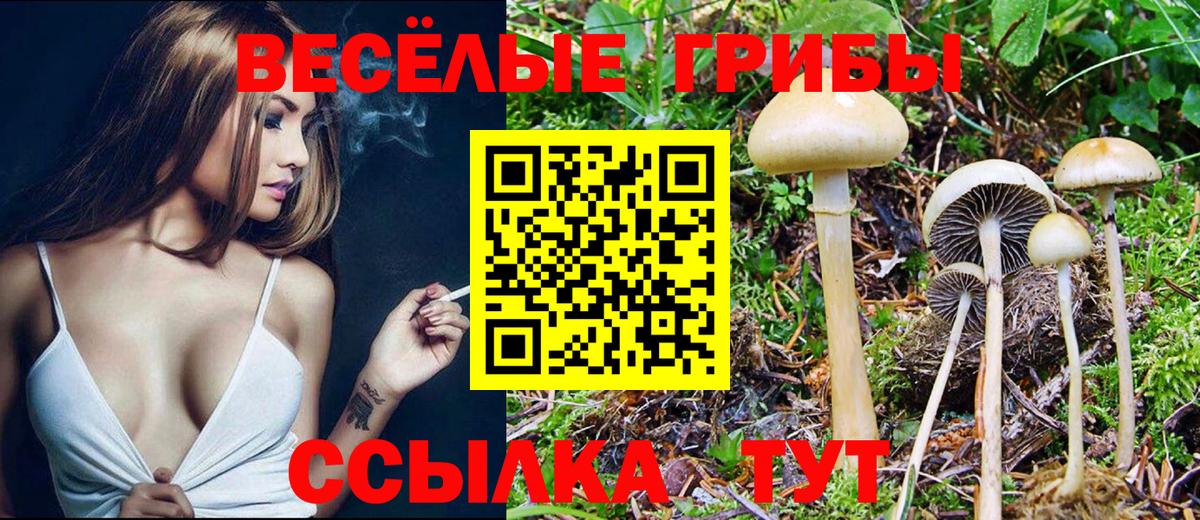 Псилоцибиновые грибы прущие грибы Зеленогорск